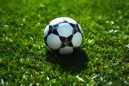 足球在草坪上背景图片