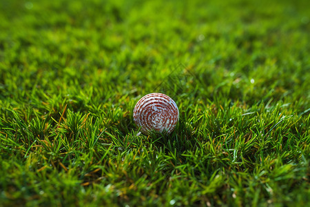 草地上的球背景图片