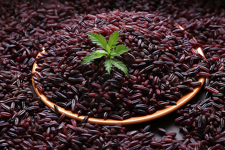 墨江紫米木碗里的紫米背景