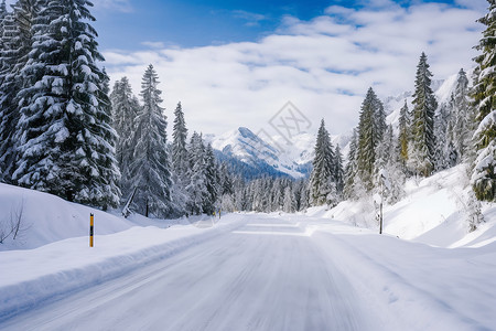 冬日森林雪景背景图片