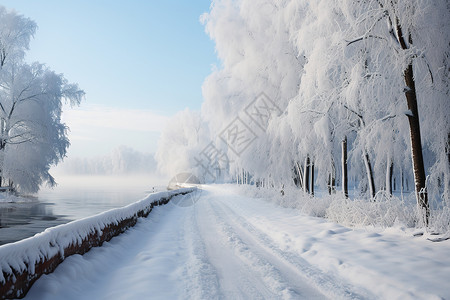 丛林小路白雪皑皑的林间小路背景