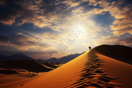 沙漠中的骆驼动物背景图片