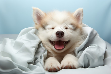 可爱睡觉的小狗背景图片