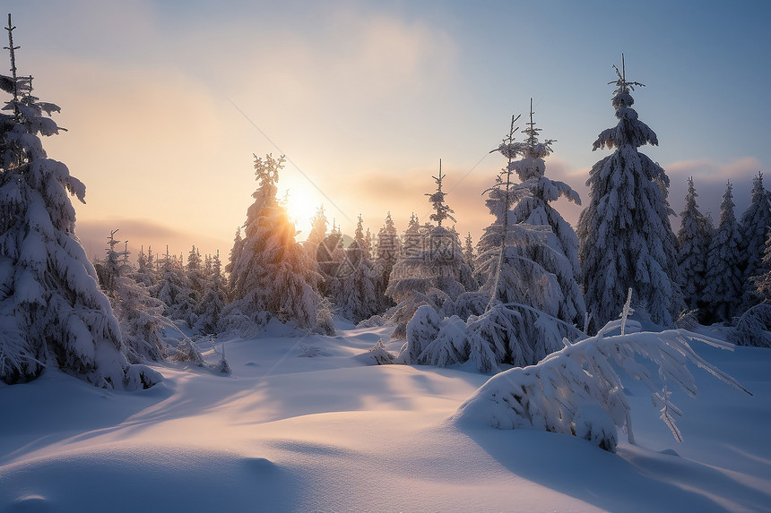 白雪皑皑的雪山森林景观图片