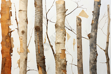 红石峡生态公园生态艺术中的树干插画