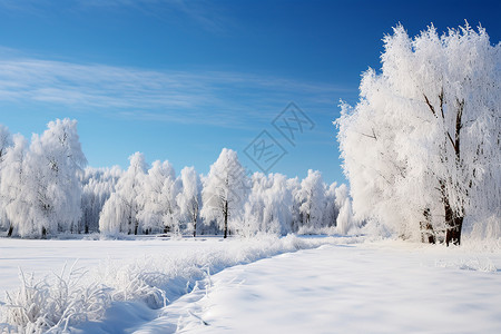 冬日美景背景图片