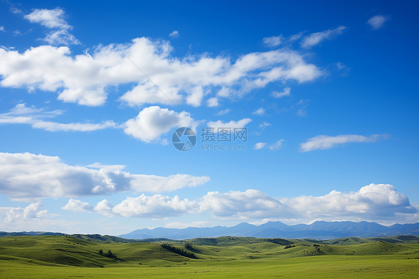 草地上的天空图片