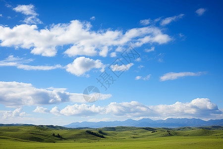草地上的天空背景图片