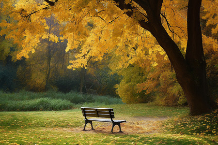 公园树下的长椅背景图片