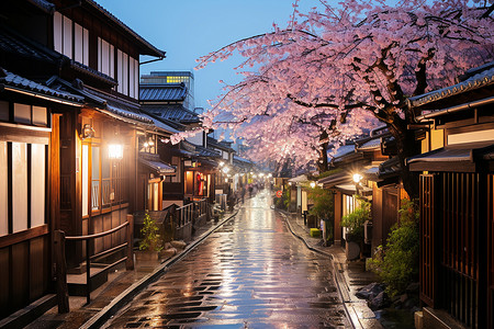 樱花盛开的巷子背景图片