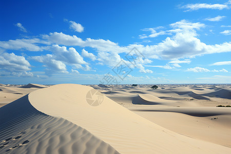 迷人的沙漠背景图片