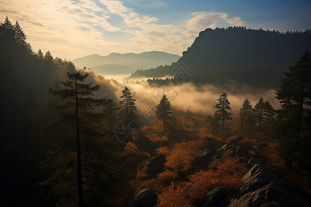 云雾笼罩迷雾缭绕的山林奇景背景