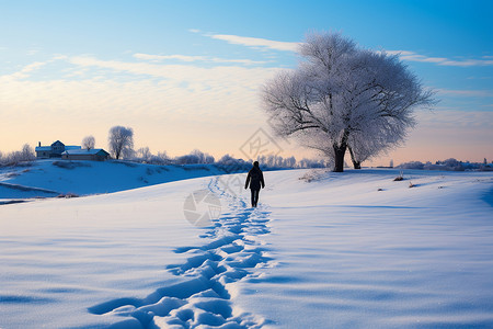 漫步雪地背影脚印高清图片