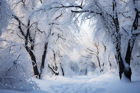 恬静雪地背景图片