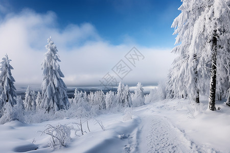 冬日之路背景图片