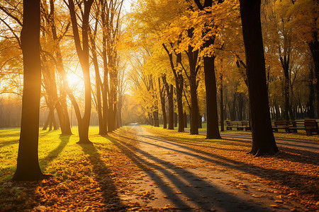 金色树叶花框秋日金色之路背景