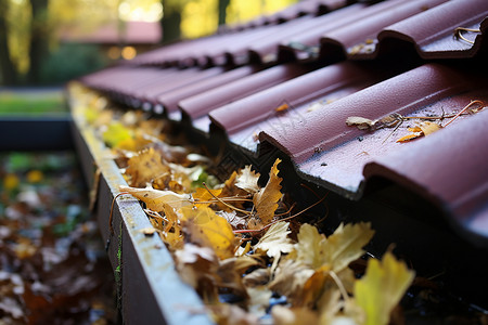 秋叶堆满庭院屋顶背景图片