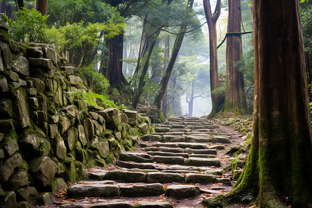 山间古道背景图片