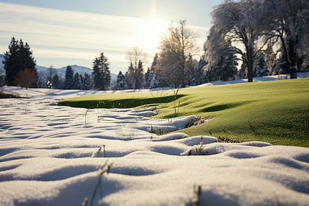 冬季白雪覆盖的高尔夫场地背景图片