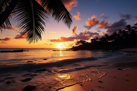 海滩上的日落背景图片