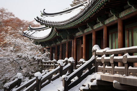 屋顶的雪雪中亭院背景