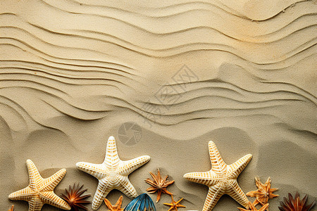 沙滩上的海星背景图片