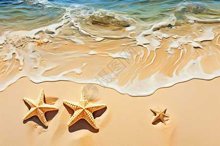 海星在沙滩上背景图片