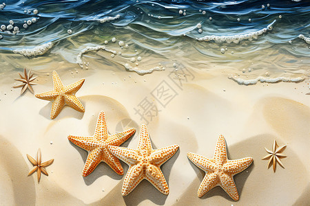 海洋之星贝壳海星星高清图片