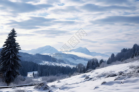 冬日白雪山峰高清图片
