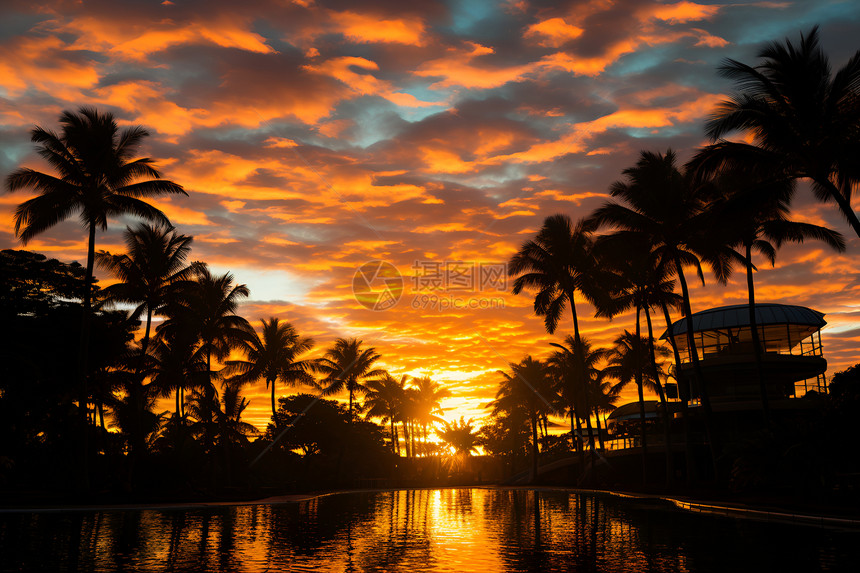 日落中的棕榈树图片