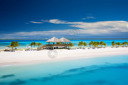旅游之椰子树海岛的清澈海水背景