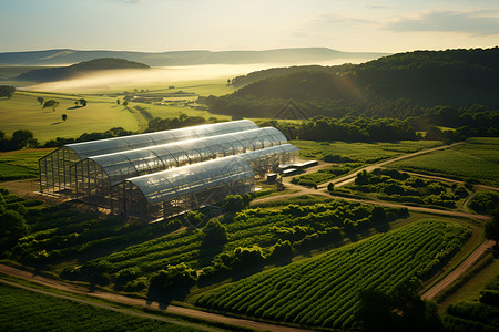 现代科技的太阳能农场背景图片