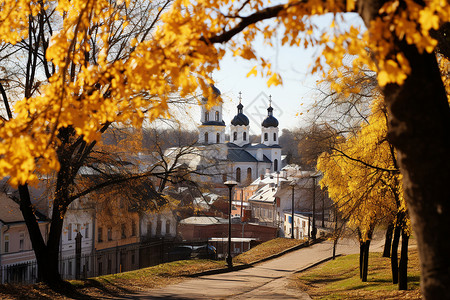 秋天的街道背景图片