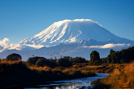 雪山森林中湖湖面前有山峰背景