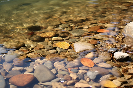 清澈的溪水背景图片