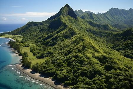 海滩边的绿色山峦背景图片