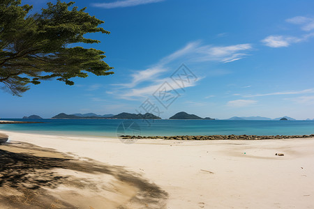 树影婆娑的沙滩背景图片