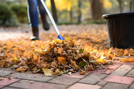 一个人清扫人行道的落叶高清图片