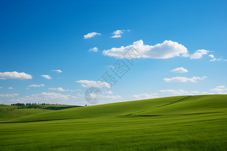 蓝天白云下的大草原高清图片