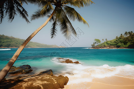 碧海蓝天下的棕榈树背景图片