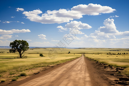 一望无垠的田间小路背景图片