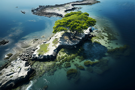 海水中间岛屿背景图片
