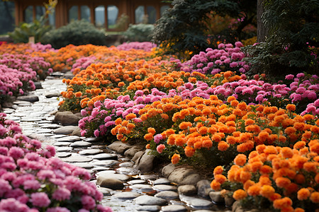 缤纷绚丽花径中的绚丽缤纷背景