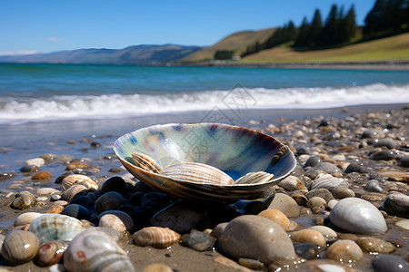 海滩上的鹅卵石和贝壳背景图片