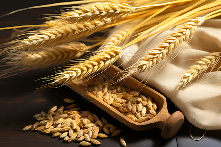 谷物丰收的季节背景图片