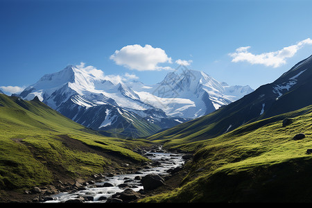 静谧山间小溪畔的绝美风光背景