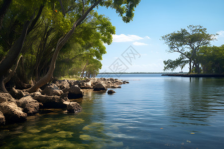 绿树环绕的湖畔背景图片