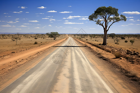 平坦的荒漠道路背景图片