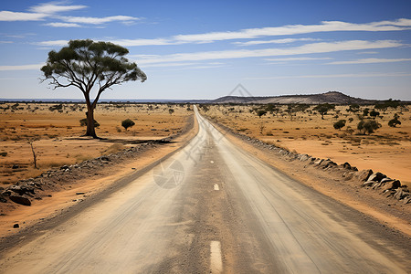 旷野中的道路背景图片