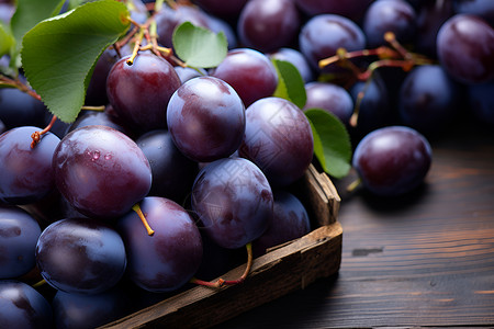 葡萄成熟丰收紫葡萄丰收背景
